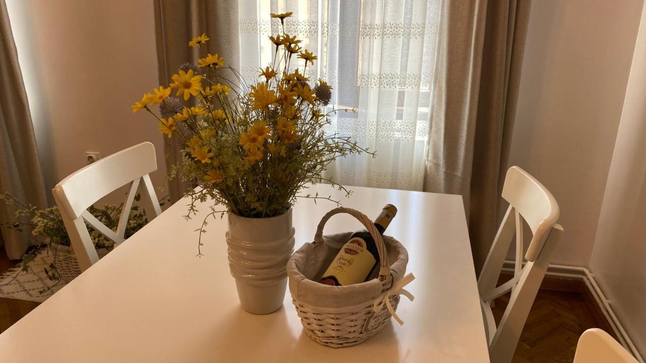 Old Town Apartment Ana 시비우 외부 사진